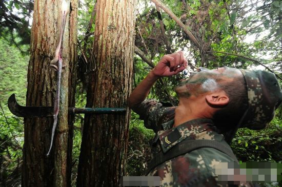 恐怖！二炮特种警卫训练 生吃蛇肉吞青蛙