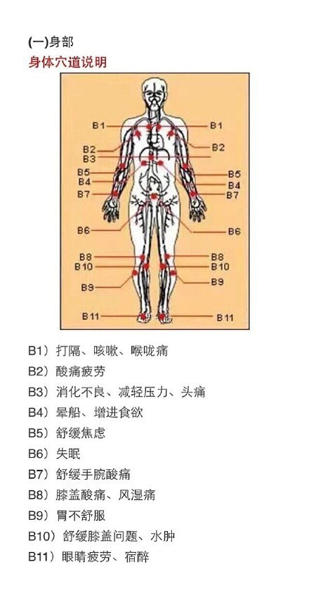 养生穴位有哪些 教你了解最全人体穴道图