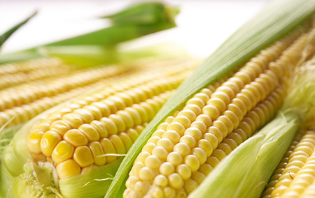 玉米最佳吃法能防多种癌(2)