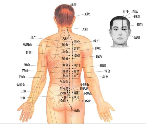 经络养生美容 小编推荐经络养生的十二大穴位