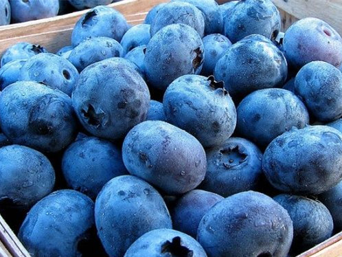 新鲜蓝莓怎么吃 新鲜蓝莓的吃法