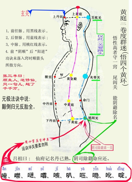 男人提高性功能方法 按摩穴位可有效增强性功能