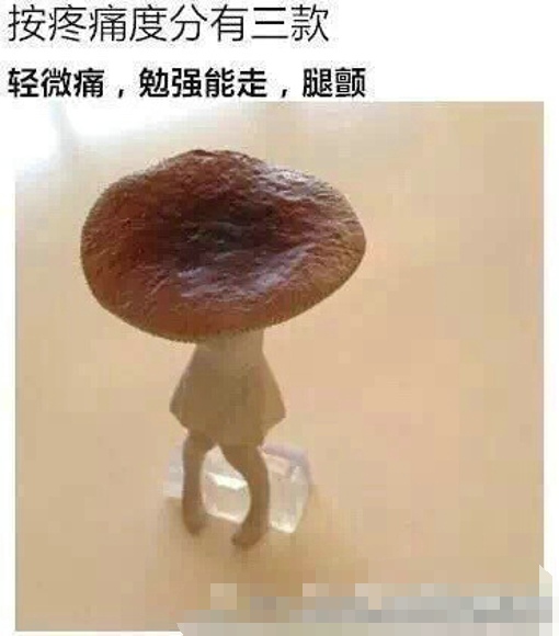 一只痛经的蘑菇 痛经该怎么调理