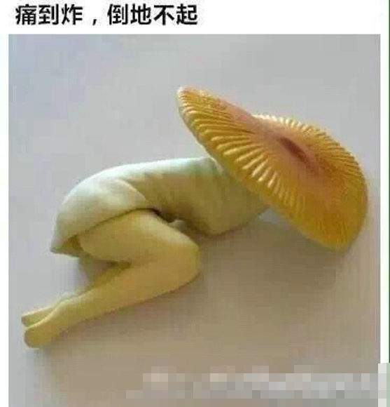 一只痛经的蘑菇 痛经该怎么调理