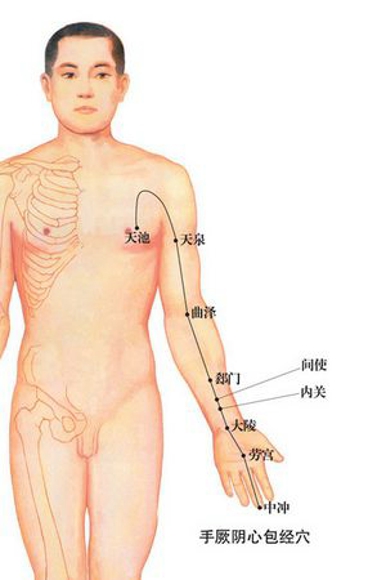 女人经络养生经 经络养生的八个秘密