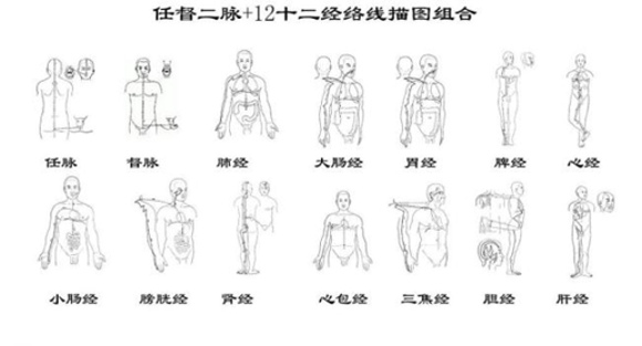 疏通经络的方法 从膀胱经开始入手