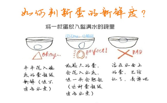 考古发现2千年前汉朝蛋 教你如何辨别鸡蛋新鲜