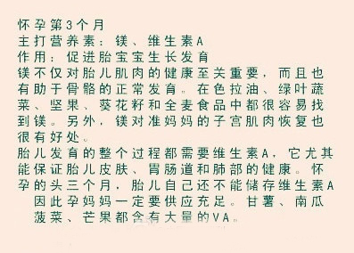 怀孕吃什么 分享怀胎十月养生大全