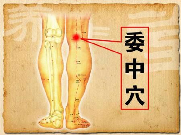 养生的穴位 人体最亲密的六大穴位