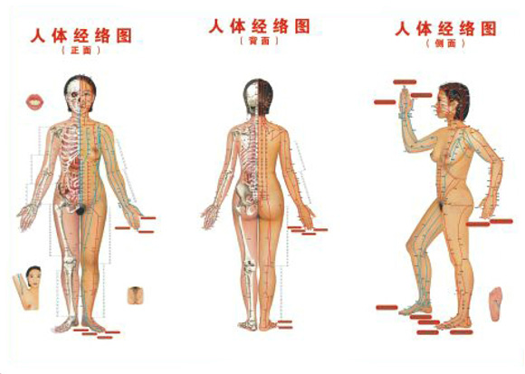 经络作用 拍打九大经络的奇效