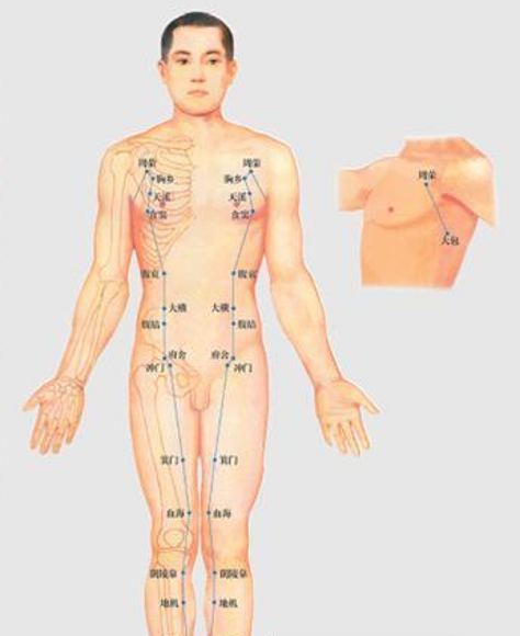 经络作用 拍打九大经络的奇效