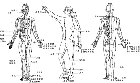 经络作用 拍打九大经络的奇效