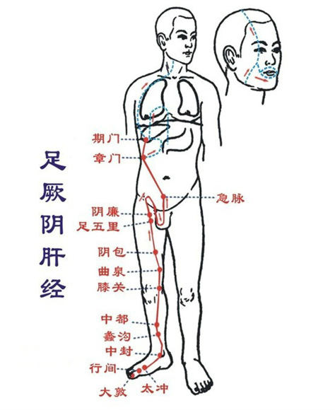 经络作用 拍打九大经络的奇效