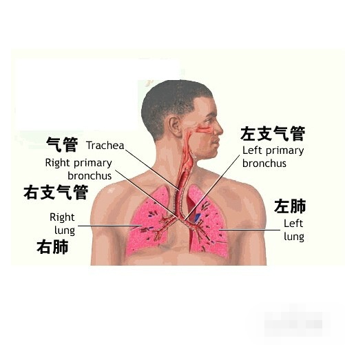 阅兵后雾霾重回北京 了解雾霾对人体的危害