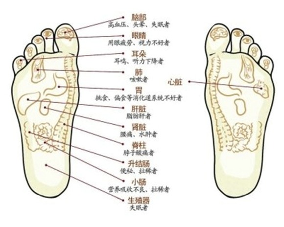 中医穴位养生 老人养生按什么穴位