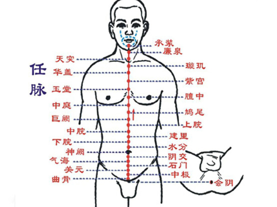 中医穴位养生 老人养生按什么穴位