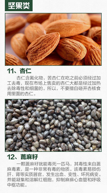 什么食物有毒 这15种食物可能要命