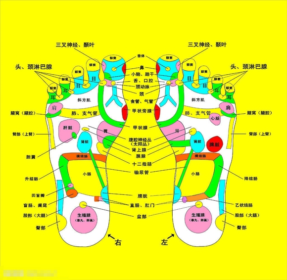 女人穴位养生 四大穴位让你青春永驻