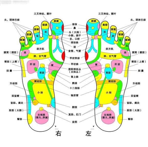 女人穴位养生 四大穴位让你青春永驻