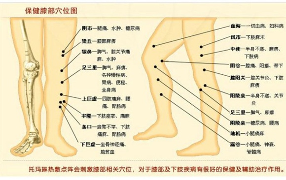 秋季贴膘不宜大补 补阴才是重点