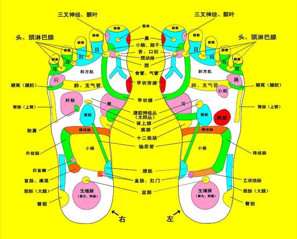 秋季贴膘不宜大补 补阴才是重点