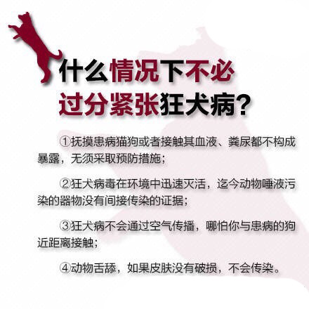 狂犬病是什么症状 被狗咬伤后该怎么急救