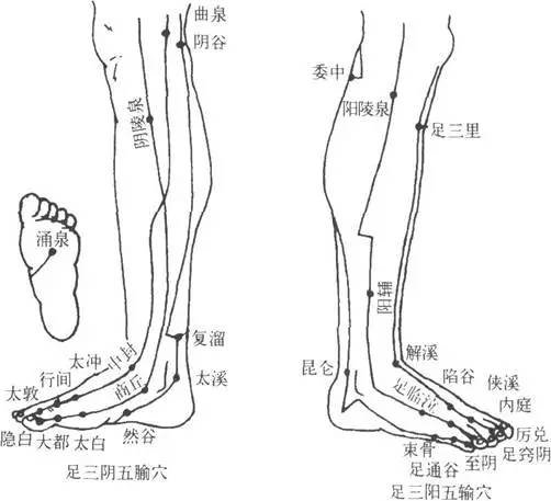 常拍手脚三阴三阳 气血畅通百病不侵