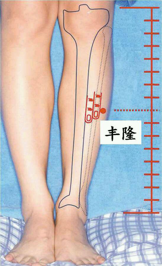 痰湿体质怎么办 中医教你常按祛痰利器