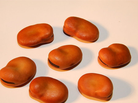 蚕豆的营养价值 蚕豆的食用方法
