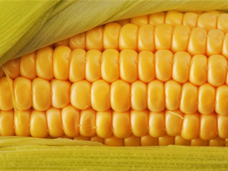 一根玉米含有多少热量 玉米的营养价值