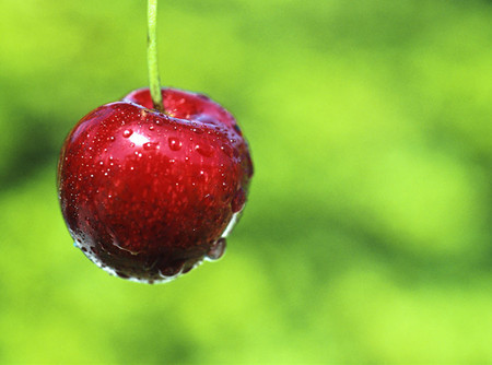 吃樱桃的坏处有哪些 食用樱桃的注意事项(2)