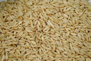 燕麦含有维生素B 燕麦的营养价值