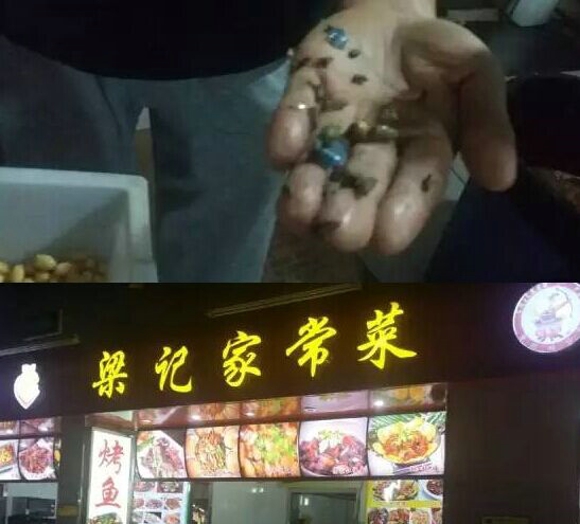 济南餐厅用掺老鼠屎黄豆做咸菜 恶心到令人想吐