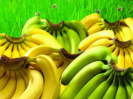 香蕉的食用禁忌 食用香蕉要注意什么(2)