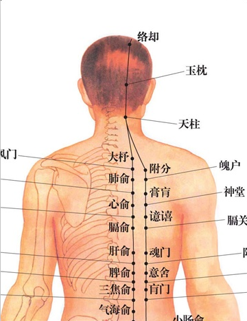 经络不通的症状 经络不通怎么办(2)