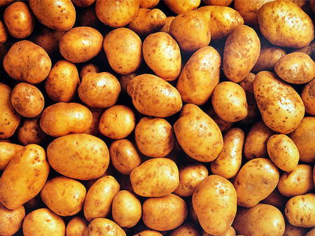 土豆该如何选购 土豆的选购方法