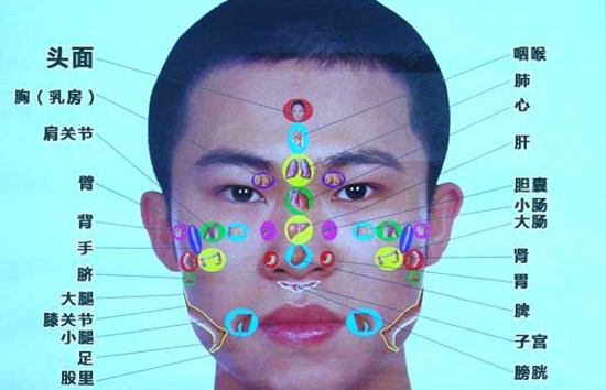 面部经络走向图 七大经络畅通身体才健康