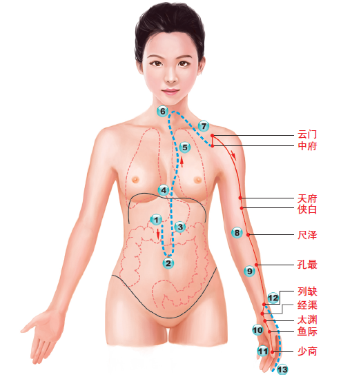 肺经不通怎么调理 教你打通经络上的堵塞点