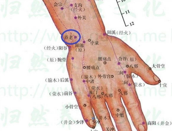 手腕穴位图 手腕穴位治疗心悸失眠