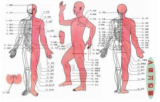 人体致命穴位图 保护好这几个穴位