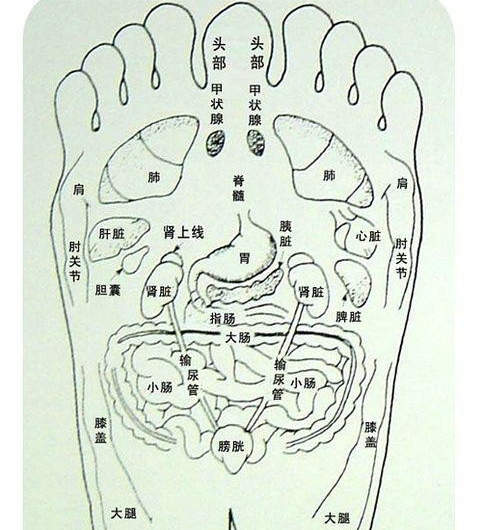 足底经络图 分享脚底穴位按摩方法