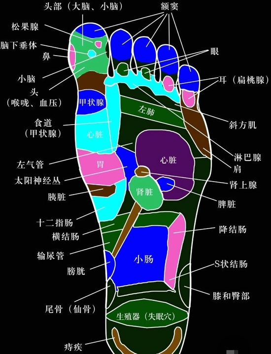 足底经络图 分享脚底穴位按摩方法