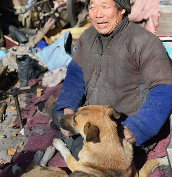 河南大黄狗推残疾主人上坡 人狗情缘