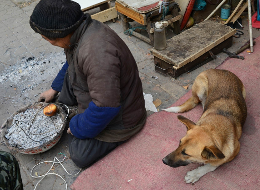 河南大黄狗推残疾主人上坡 人狗情缘