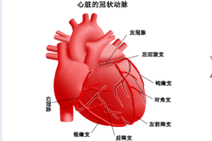 心肌缺血的症状有哪些 心肌缺血有什么治疗原则