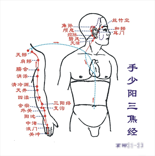 全身经络排毒 九个穴位帮你的忙