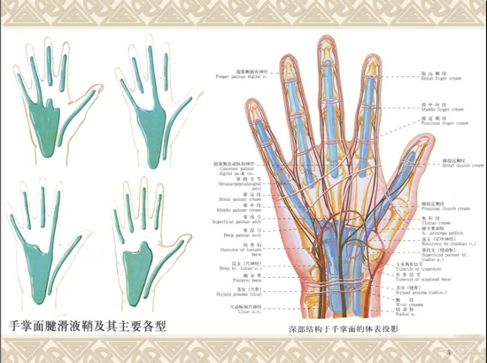 腱鞘炎治疗方法 穴位治疗助你摆脱苦恼