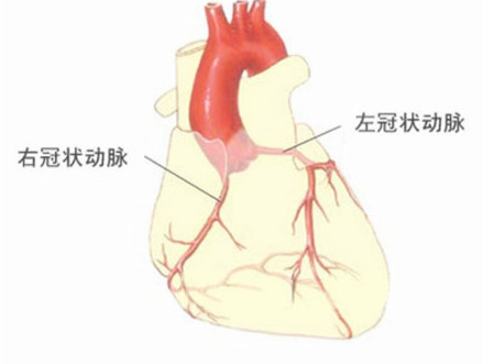 心脏供血不足的症状有哪些 心脏供血不足的注意事项