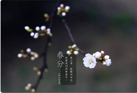 春季养生 春分时节老年人这么养生最好