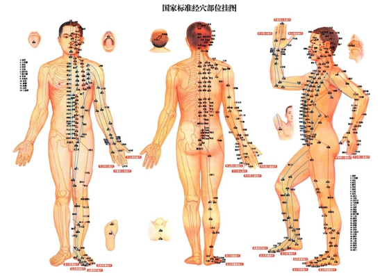 常见穴位定位 穴位按摩养生保健的原理